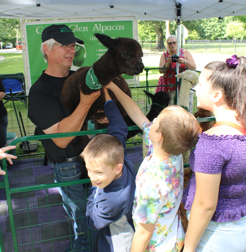 Gaelic Glen Alpacas on One World Day in Cleveland